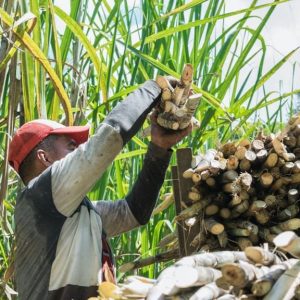 Au départ de Punta Cana : visite culturelle de Higüey avec plage