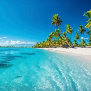 Punta Cana : Croisière en catamaran sur l'île de Catalina avec plongée en apnée