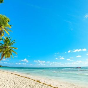 Samana: Cayo Levantado s dopravou v ceně