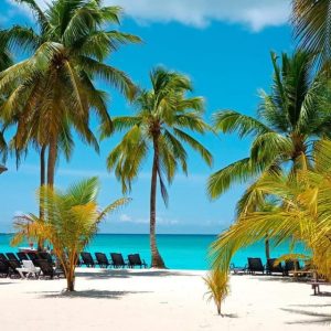Ganztägiges Abenteuer auf der Insel Saona