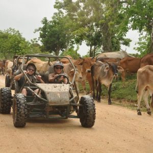 Bayahibe: Buggy Tour with River Chavón and Local Tasting