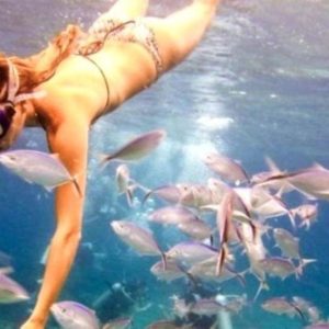 Punta Cana : Excursion de plongée en apnée sur l'île de Catalina avec déjeuner