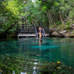 Swim in the Cenotes Ojos Indígenas