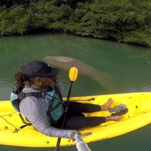 Los Haitises : Lever ou coucher de soleil sur la faune et la flore