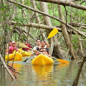 Los Haitises All One : Kayak, randonnée, bateau et baignade