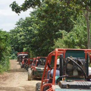 Depuis Punta Cana ou La Romana : Sugarcane Fields Buggy ou Quad