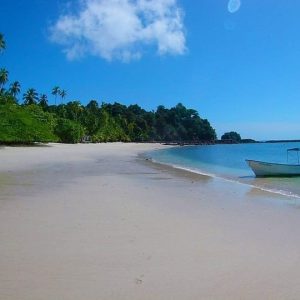 Journée entière sur l'île de Catalina avec plongée sous-marine