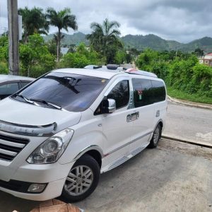 Transfert privé de l'aéroport de Punta Cana à l'hôtel Riu Bambu