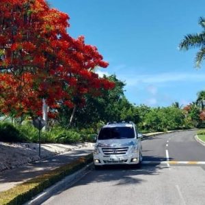 Soukromý transfer z letiště Punta Cana do Live Aqua