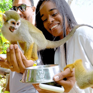 Visite de Monkeyland + Transport depuis la croisière/l'hôtel