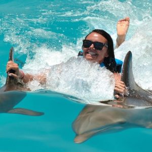 Punta Cana: Dolphin Discovery Swims and Encounters