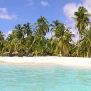 Punta Cana: Saona Island Day Trip with Open Bar and Lunch