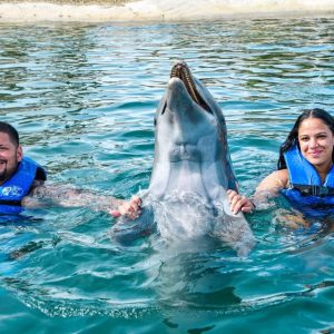 Puerto Plata: Ocean World Adventure Park Schwimmen mit Delphinen