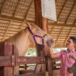 Punta Cana : Eco Park Safari Adventure