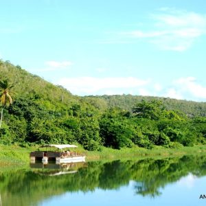 Excursion dans la jungle