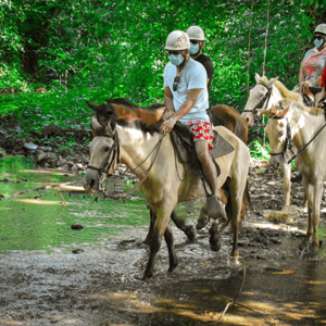 Punta cana: 3 Touren mit Seilrutsche, Buggy und Pferderennen.