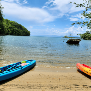 Los Haitises Kajak & Caño Hondo Pools - Private Tour von Miches