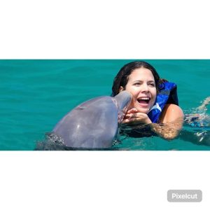 Punta Cana : Nage et rencontre avec les dauphins