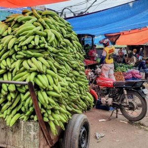 De Puerto Plata Priv : Cacao, café, cigares et marché local