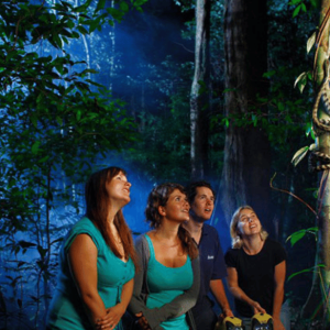 Randonnée nocturne dans la forêt tropicale de Los Haitises