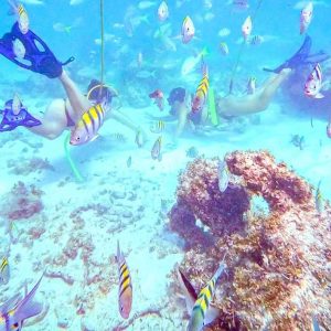Punta Cana: Geführtes Power-Dive-Abenteuer