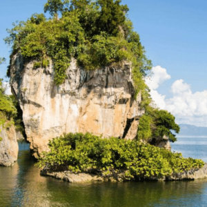 Au départ de Samana : Excursion en bateau et à pied à Los Haitises avec déjeuner