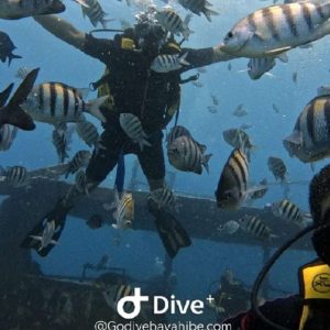Bayahibe: Scuba Diving Initiation - Godive Bayahibe