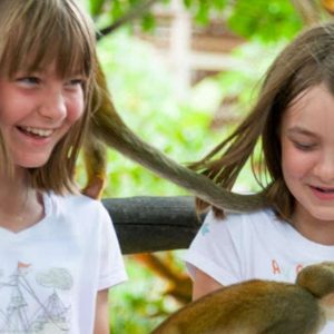 Transfers and taxis Monkey land in puerto plata