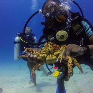 La Romana : Plongée sous-marine sur l'île de Catalina