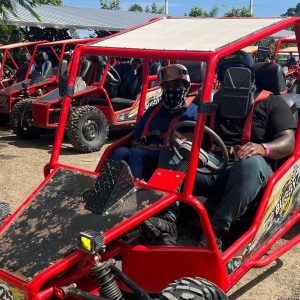 Buggy for 2