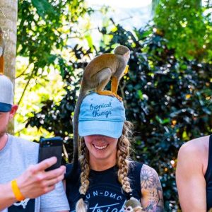 Samaná : Monkeyland et visite en camion du Safari en plein air