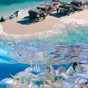 Cayo Arena: Paradise Island & Magroves Tour Private