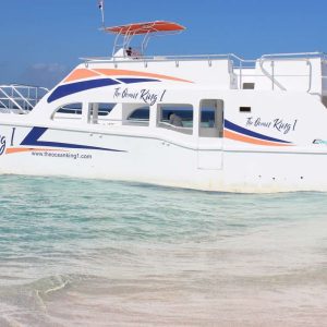 Depuis Puerto Plata : Excursion privée en catamaran à Cayo Arena et déjeuner