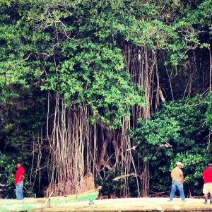 Catalina island snorkel with Food and drinks (Full Day)