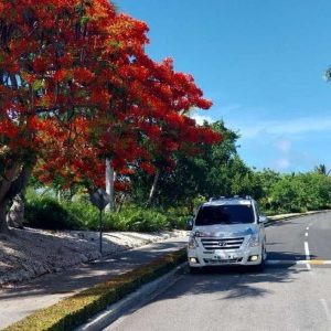 Soukromý transfer z letiště Punta Cana do Dreams Onyx