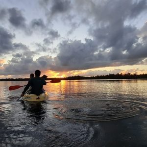 Caño Hondo : Los Haitises Amanecer o Atardecer Excursión privada en kayak con lugareños